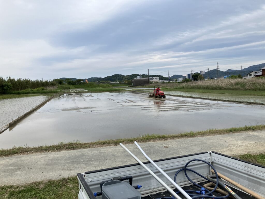 代掻き、稲作初心者