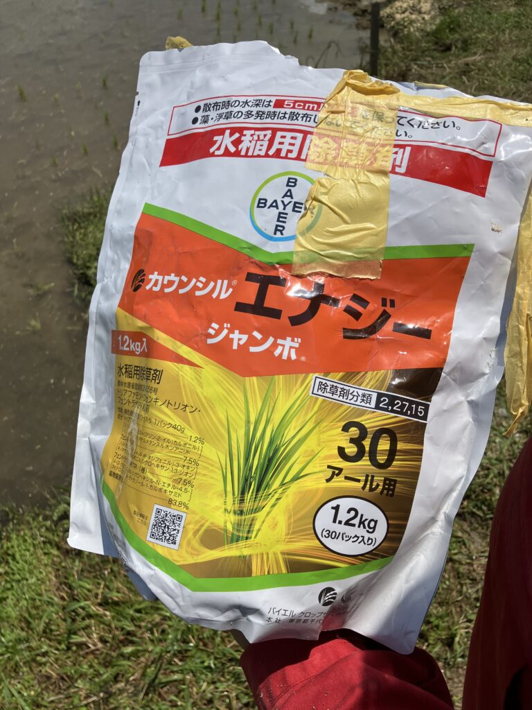 稲作初心者、初期除草剤ジャンボ