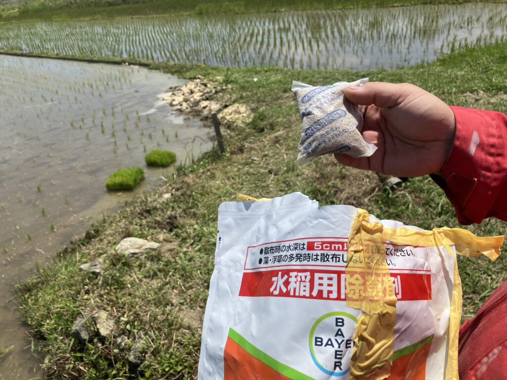稲作初心者、初期除草剤ジャンボ